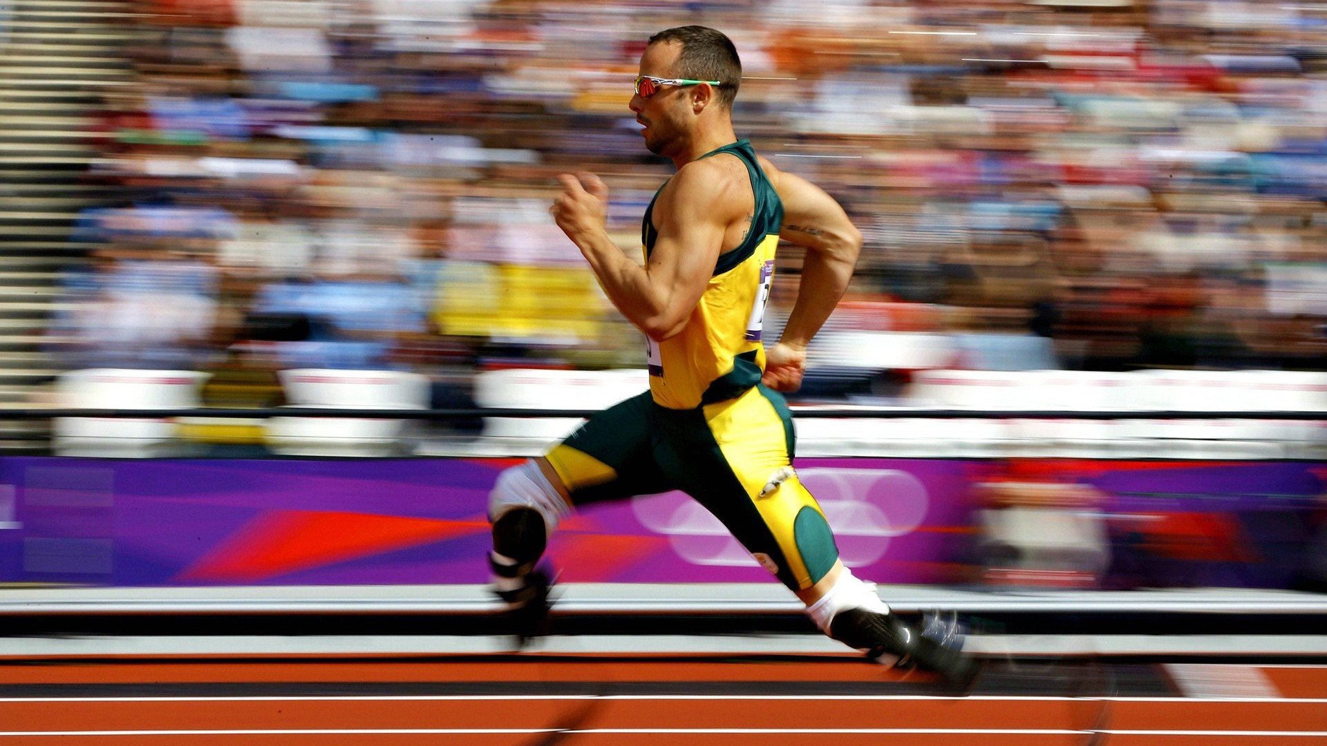 校园体育文化活动的社会影响研究,校园体育文化对大学生的影响是什么